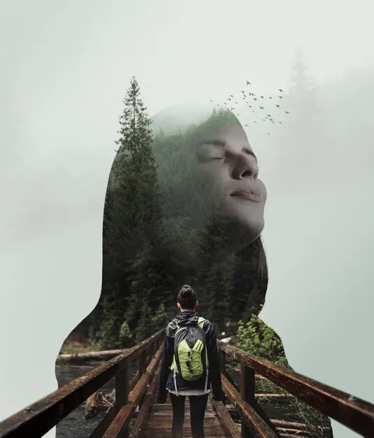 Silueta de una persona que contiene un bosque y un camino
